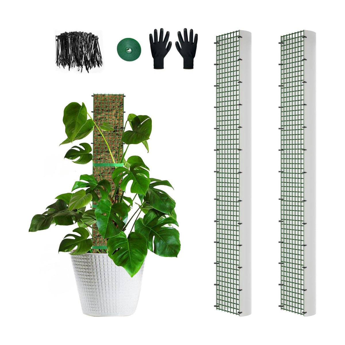 40" Metal Moss Pole, D Shape Sphagnum Moss Pole, Moss Poles for Climbing Plants, Monstera, Indoor Climbing Plants (2Pcs 40")