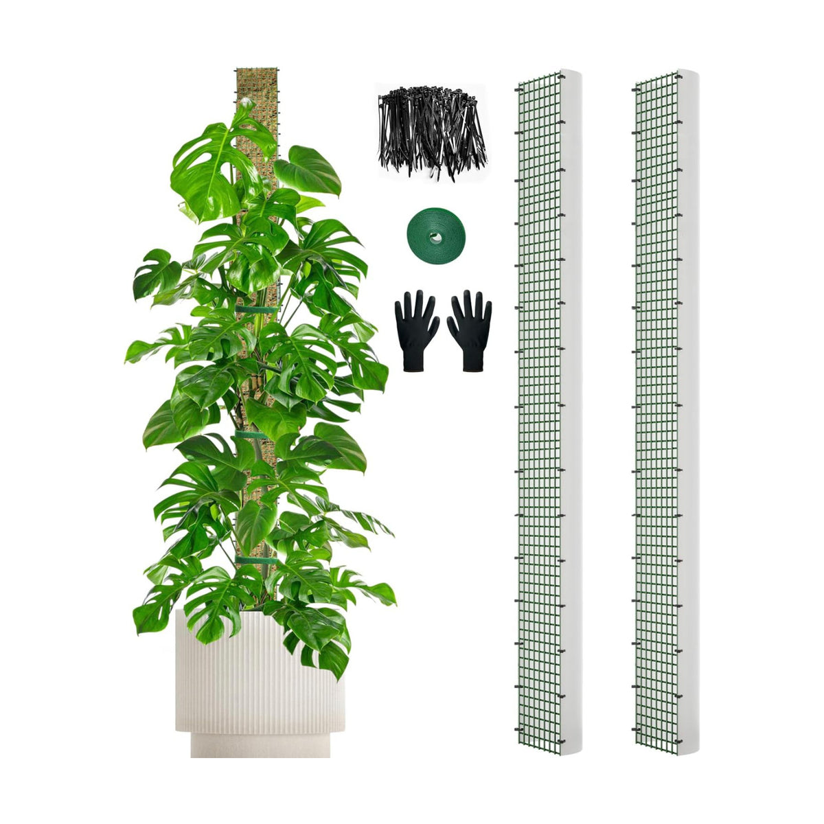 70" Metal Moss Pole, D Shape Sphagnum Moss Pole, Moss Poles for Climbing Plants, Monstera, Indoor Climbing Plants (2Pcs 70")