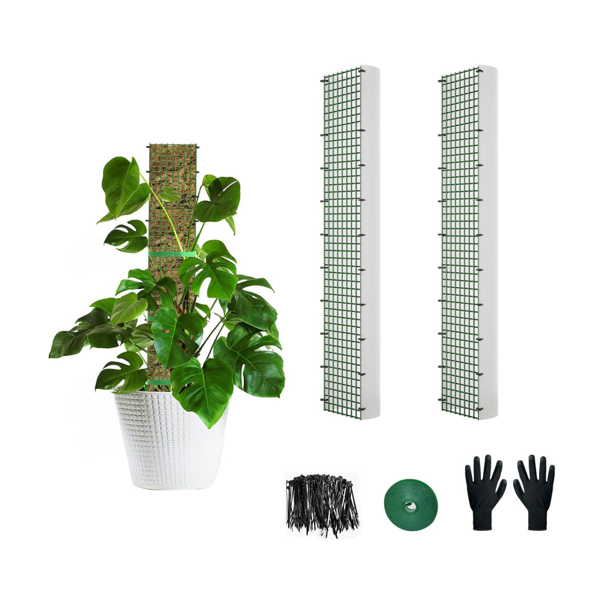 24" Metal Moss Pole, D Shape Sphagnum Moss Pole, Moss Poles for Climbing Plants, Monstera, Indoor Climbing Plants (2Pcs 24")