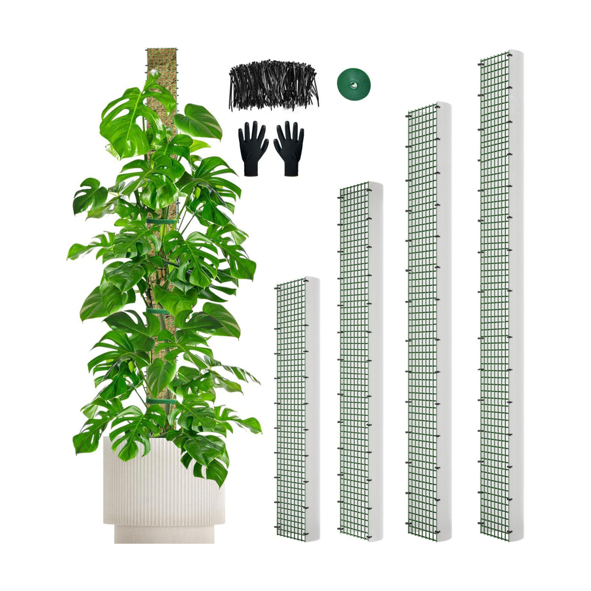 70"/60"/40"/24" Metal Moss Pole, D Shape Sphagnum Moss Pole, Moss Poles for Climbing Plants, Monstera, Indoor Climbing Plants (1 Each of 70" 60" 40" 24")
