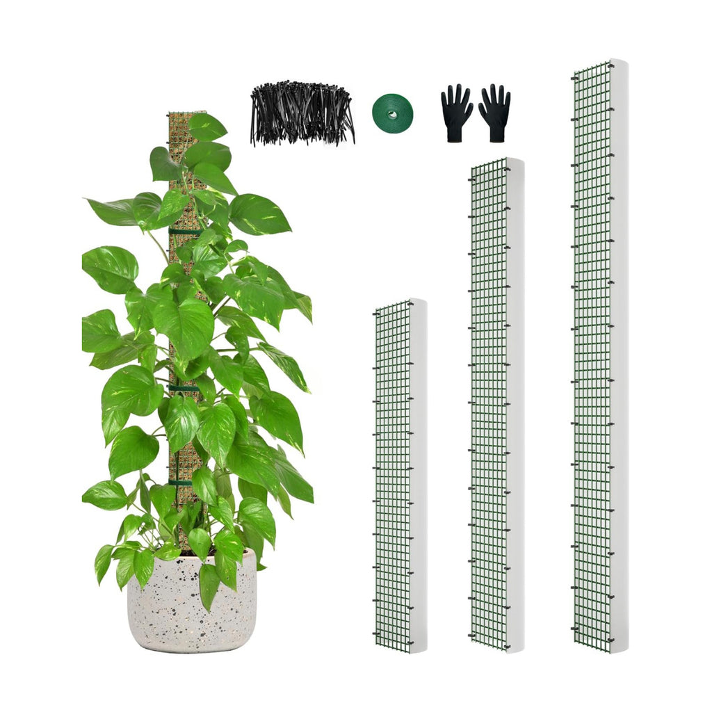 60"/40"/24" Metal Moss Pole, D Shape Sphagnum Moss Pole, Moss Poles for Climbing Plants, Monstera, Indoor Climbing Plants (1 Each of 60" 40" 24")
