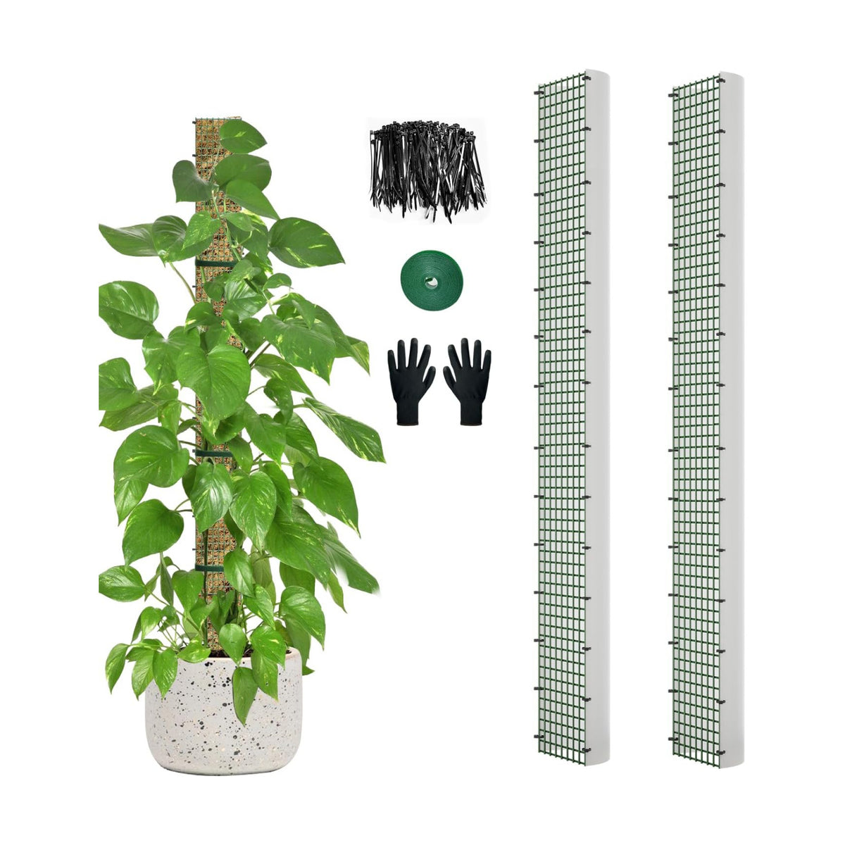 60" Metal Moss Pole, D Shape Sphagnum Moss Pole, Moss Poles for Climbing Plants, Monstera, Indoor Climbing Plants (2Pcs 60")