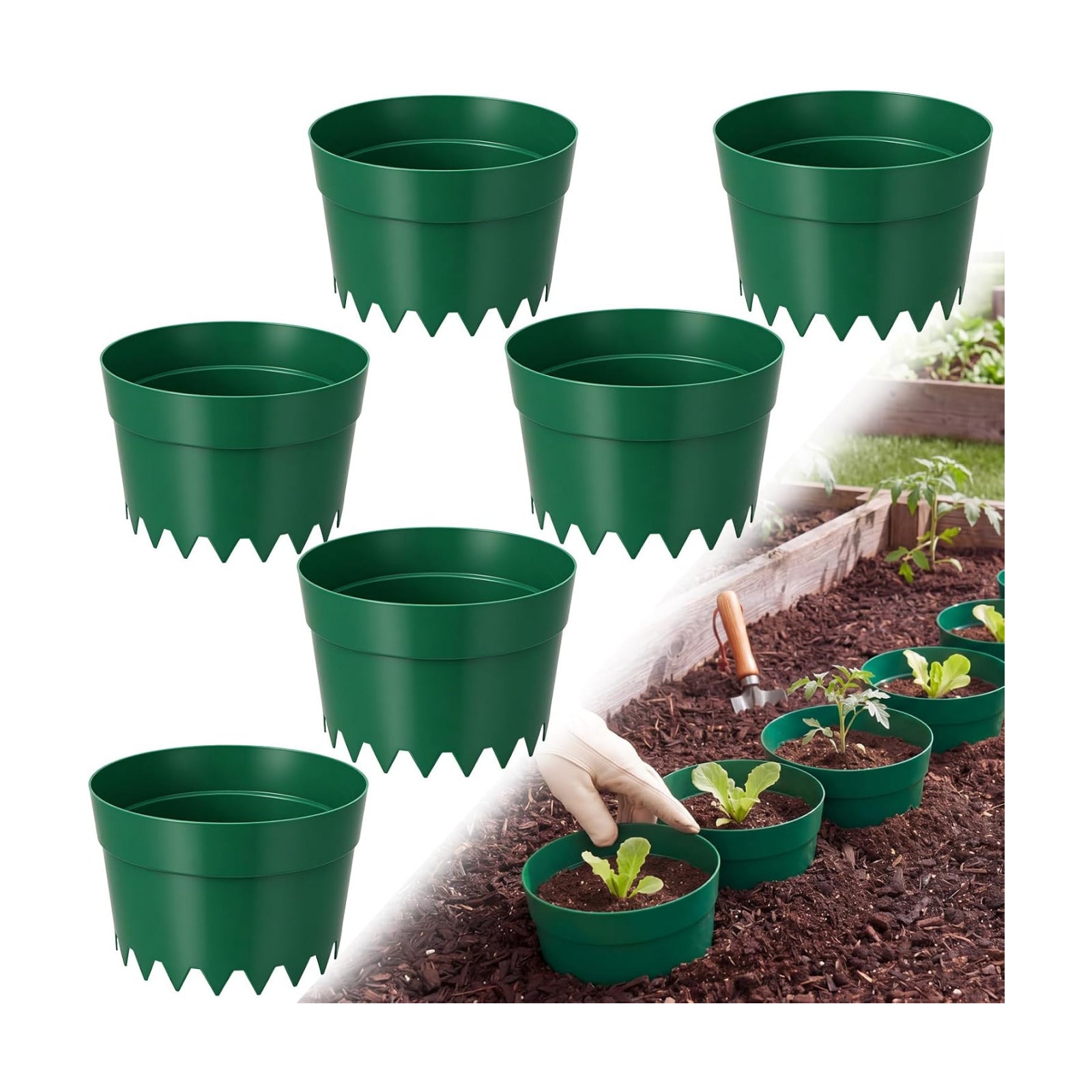 6 Pcs Plant Grow Rings 8 Inch PP Weed Barrier Rings | with Water Reservoir for Flower Beds Vegetable Gardens Fall