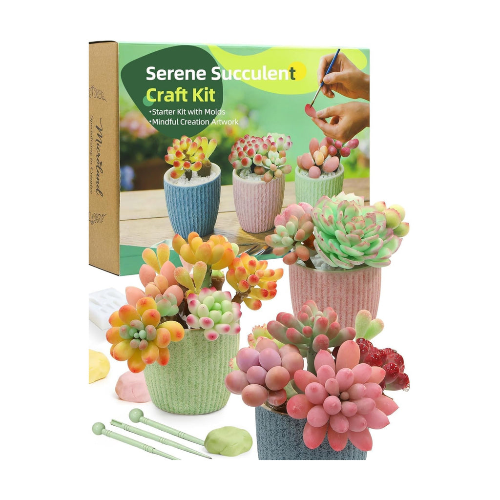 Microland Crafts for Teens Succulents Flower Making Clay Kit Creative Gifts | Crafty Gift w/ Pots & 60+ Tools