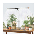 Grow Light for Indoor Plants,6000K White Sun Spectrum Growing Light Lamp | Desk Light with Red Blue LED for Pot