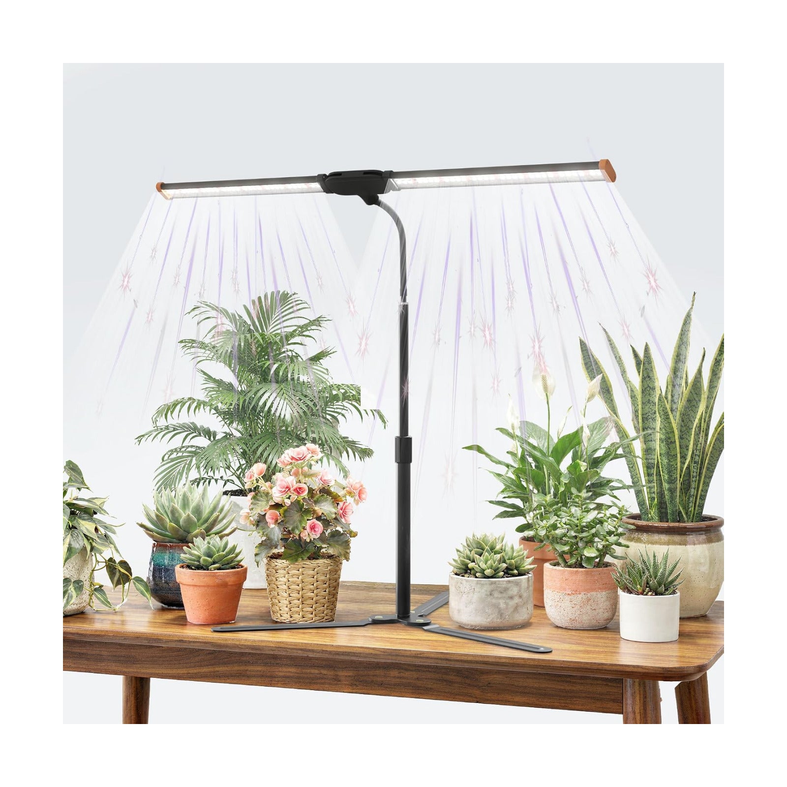 Grow Light for Indoor Plants,6000K White Sun Spectrum Growing Light Lamp | Desk Light with Red Blue LED for Pot