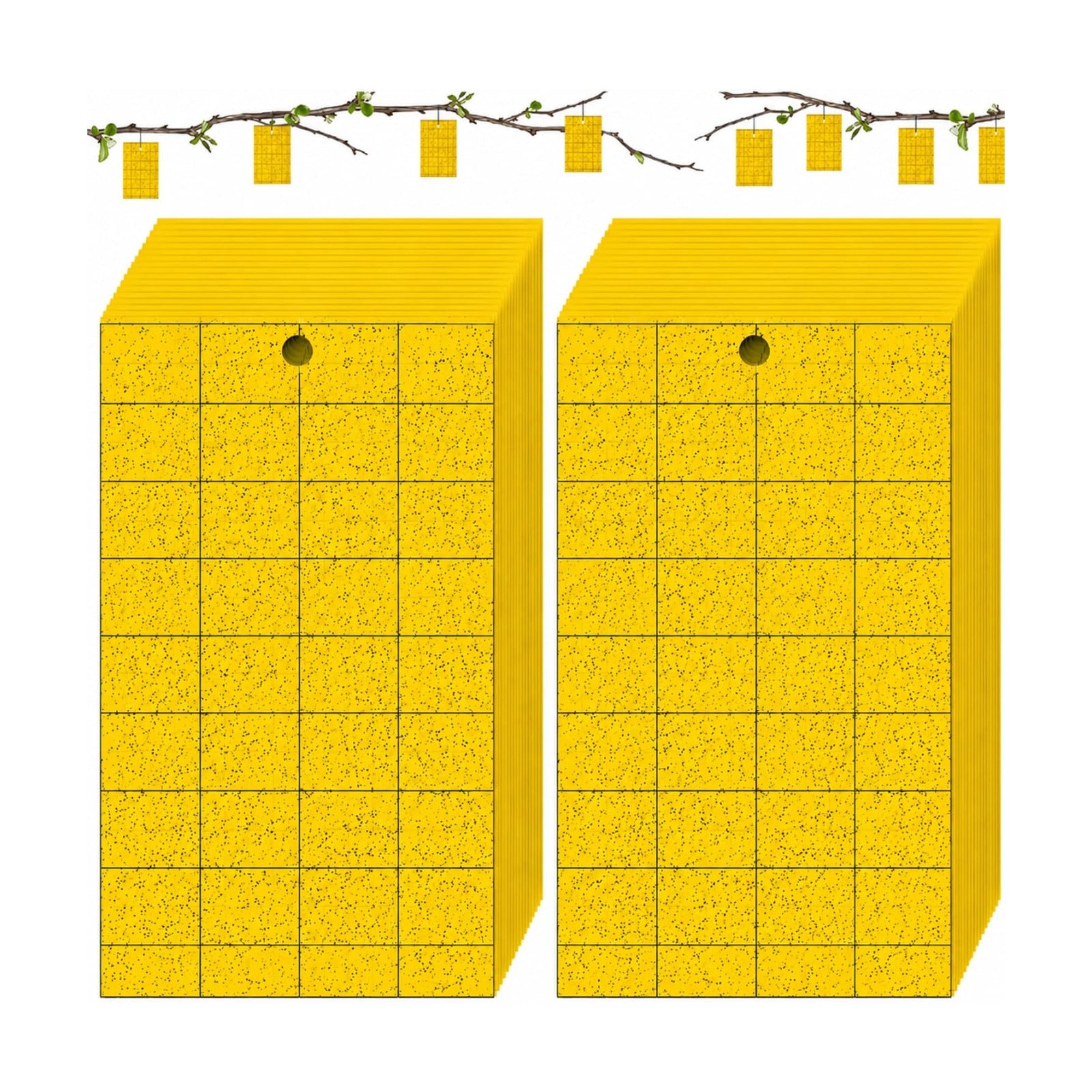 Qualirey 150 Pcs 6'' X 8'' Sticky Trap for Gnats Dual Side Sticky Fruit Fly Trap with Tie Plant for Flying Insect