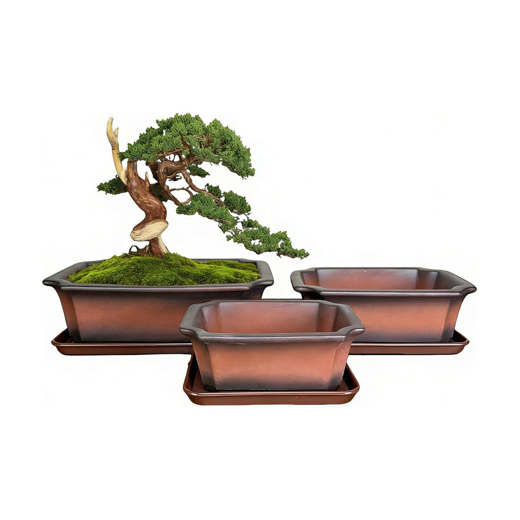 10/8/6 Inch Bonsai Pots with Tray, Set of 3, Classic Brown | Unglazed clay bonsai pot, 10/8/6“ ceramic rectangle