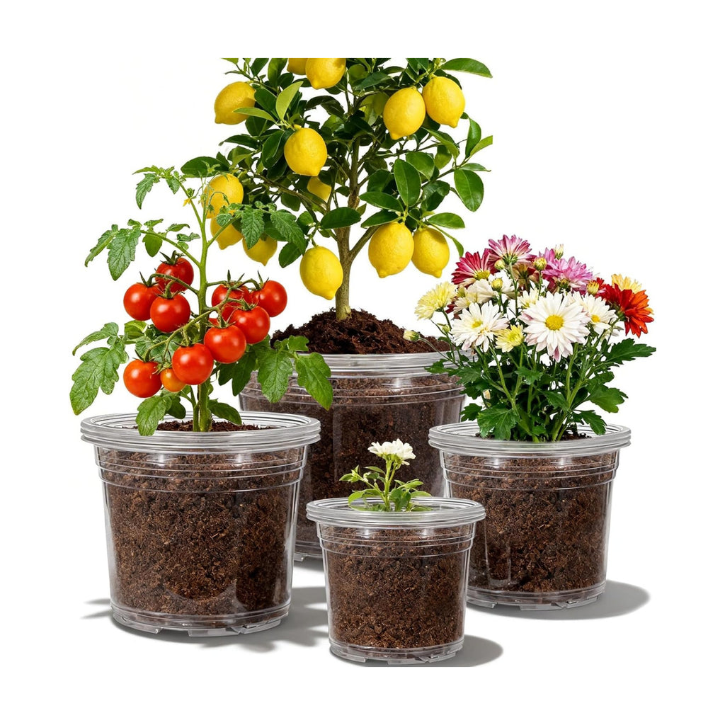 12 Pack 4/6/8/10 Inch Clear Nursery Pots for Plants, Large Size Nursery Pot