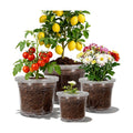 12 Pack 4/6/8/10 Inch Clear Nursery Pots for Plants, Large Size Nursery Pot