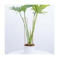 10 PCS Large Indoor Plant Stakes 15.5" Heavy Duty Metal Supports | Plant Supports for Outdoor & Indoor Plants, Durable