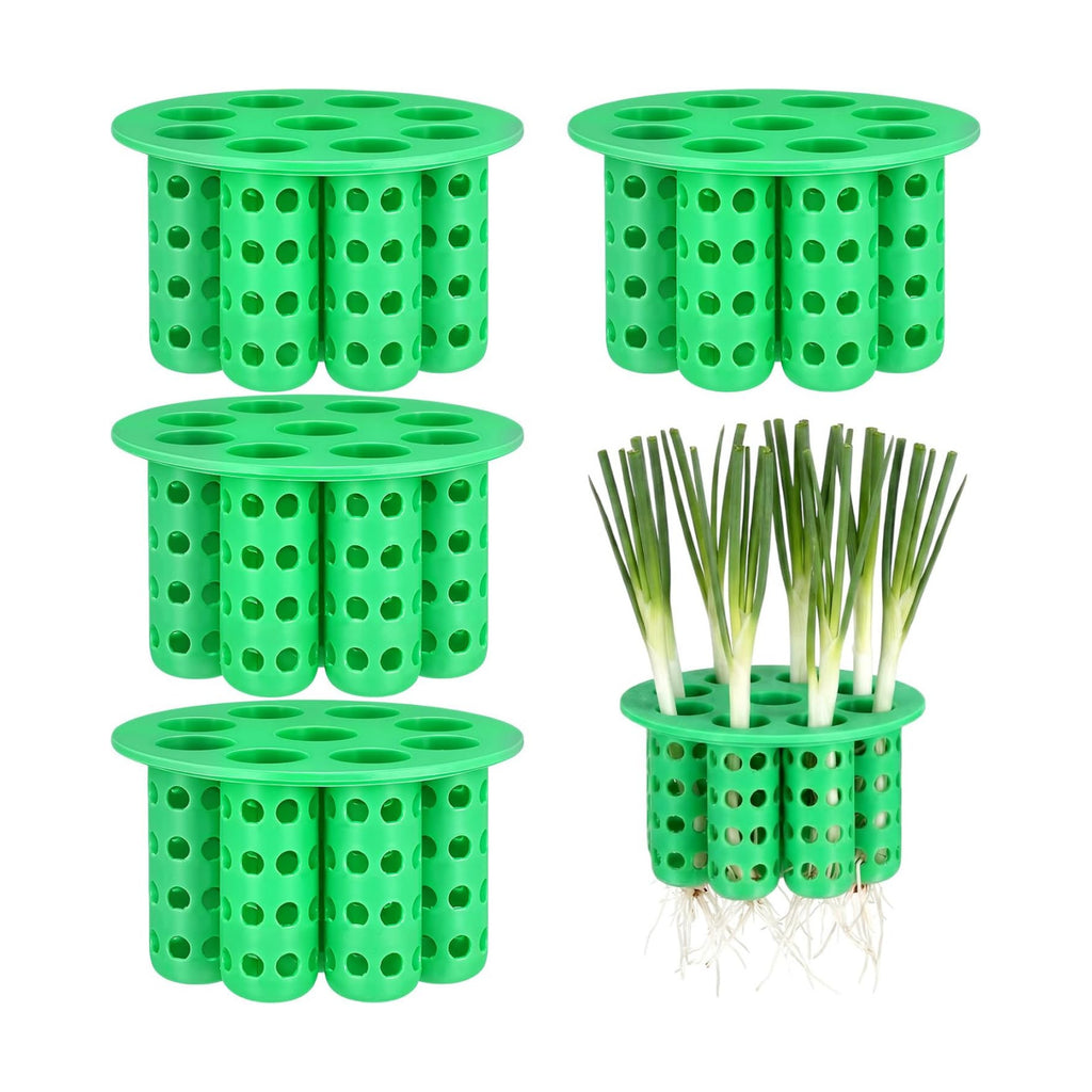 4 Pack Green Onion Planter Scallion Grower Seed Sprouting Kit Compatible with Regular Mouth Mason Jar for Windowsill