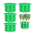 4 Pack Green Onion Planter Scallion Grower Seed Sprouting Kit Compatible with Regular Mouth Mason Jar for Windowsill