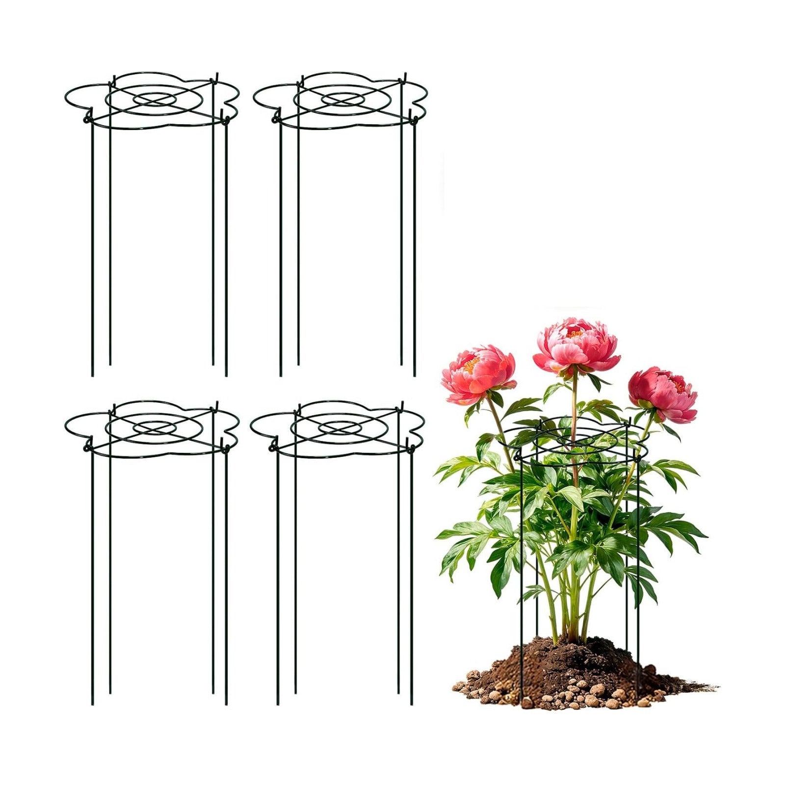 Peony Cages and Supports 4 Pack, 13" Dx24 H Grow Through Plant Supports, Heavy Duty Metal Plant Support Cage for