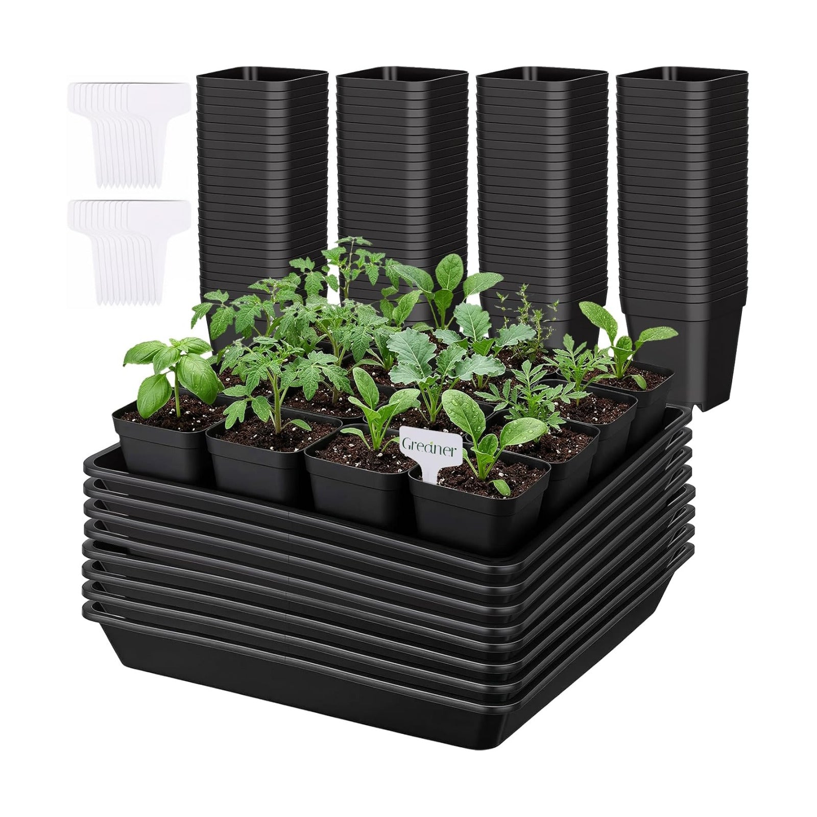 GREANER 8PCS 12 Inch Plant Trays for Pots, 120PCS 2.7 Inch Seed Starter Pots with Drain Holes, Sturdy Seedling pots for