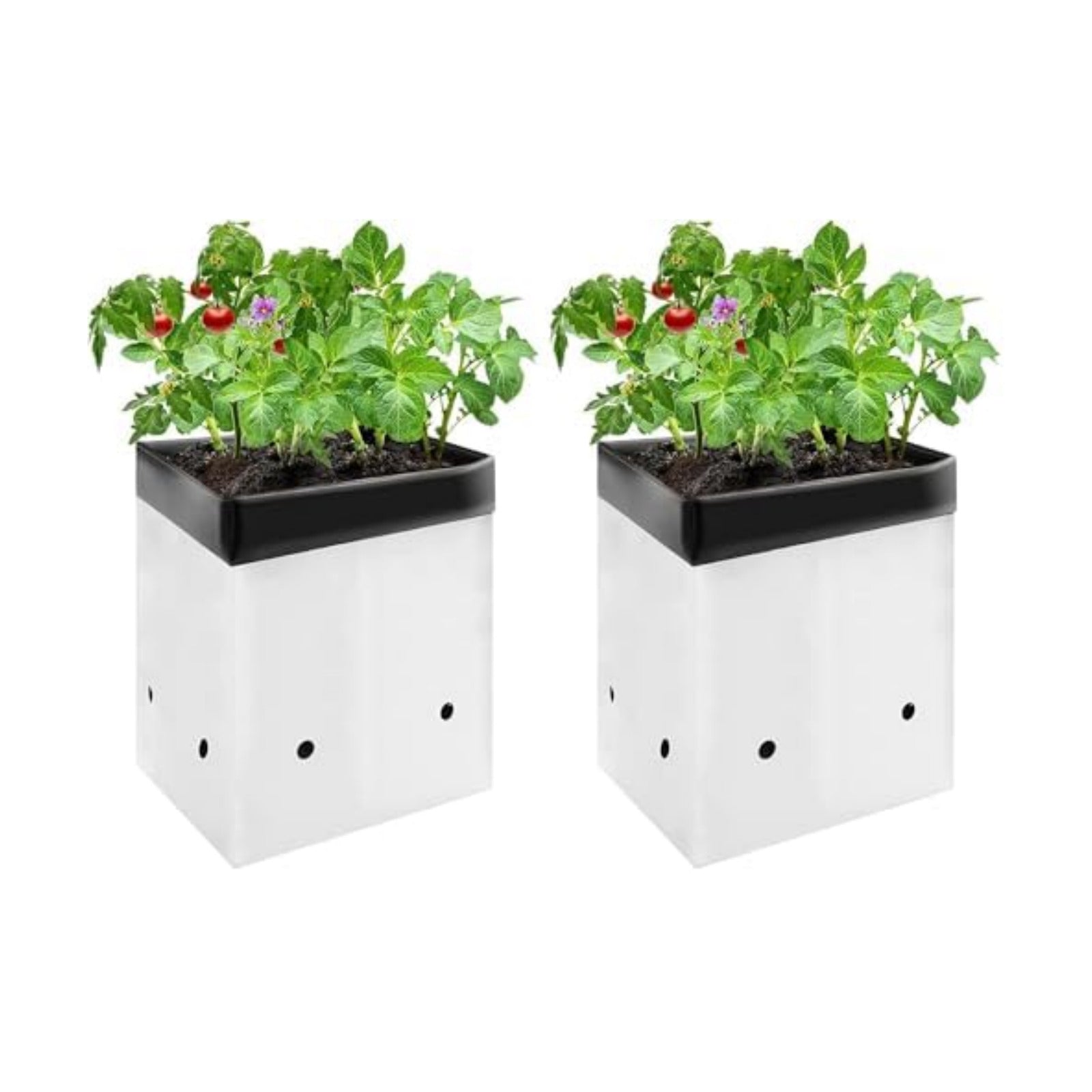 VIVOSUN 100-Pack 3 Gallon Grow Bags for Plants, Black-and-White Thick Plastic Bags for Potting Seedlings, and Rooting