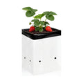 25-Pack 5 Gallon Grow Bags for Plants, Black-and-White Panda Film Containers Thick Plastic Bag for Potting Seedlings