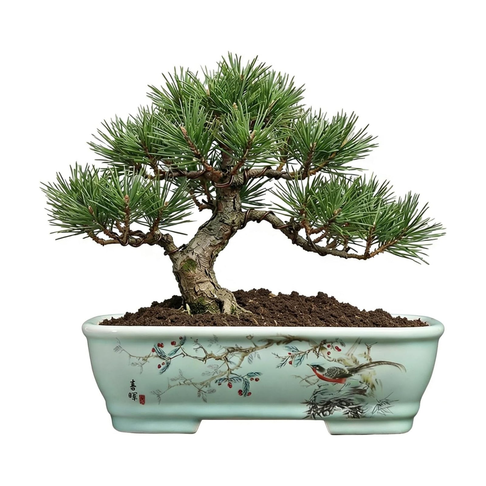 8" Bonsai Pots with Tray, Rectangular Planter in Blue & White | 8" glazed ceramic bonsai pots with tray, large shallow