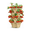 Stackable Vertical Planter Tower, 4 Tier Strawberry Planter,16 Plant Sites, Space Saving Garden Planter for Vegetables