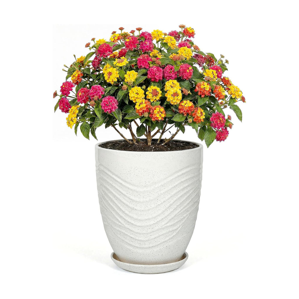 9.5 Inch Flower Pots for Indoor Plants,Ceramic Planter with Saucer Drainage Leak-Proof Mesh Gardening Gloves