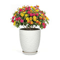 9.5 Inch Flower Pots for Indoor Plants,Ceramic Planter with Saucer Drainage Leak-Proof Mesh Gardening Gloves