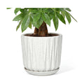 10 Inch Ceramic Planter Pot with Saucer Drainage Leak-Proof Mesh,Flower Pots for Indoor Plants with Gardening