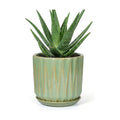 7.5 Inch Ceramic Planter Pot with Saucer Drainage Leak-Proof Mesh,Flower Pots for Indoor Plants with Gardening