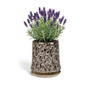 8 Inch Ceramic Planter Pot with Saucer Drainage Leak-Proof Mesh,Flower Pots for Lavender with Gardening Gloves,Ceramic