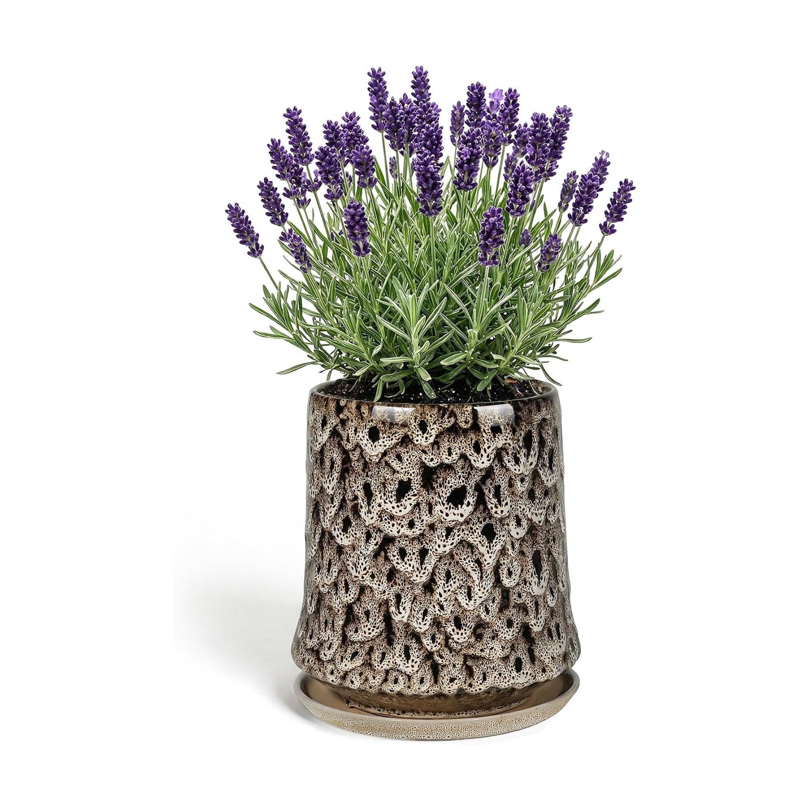 8 Inch Ceramic Planter Pot with Saucer Drainage Leak-Proof Mesh,Flower Pots for Lavender with Gardening Gloves,Ceramic