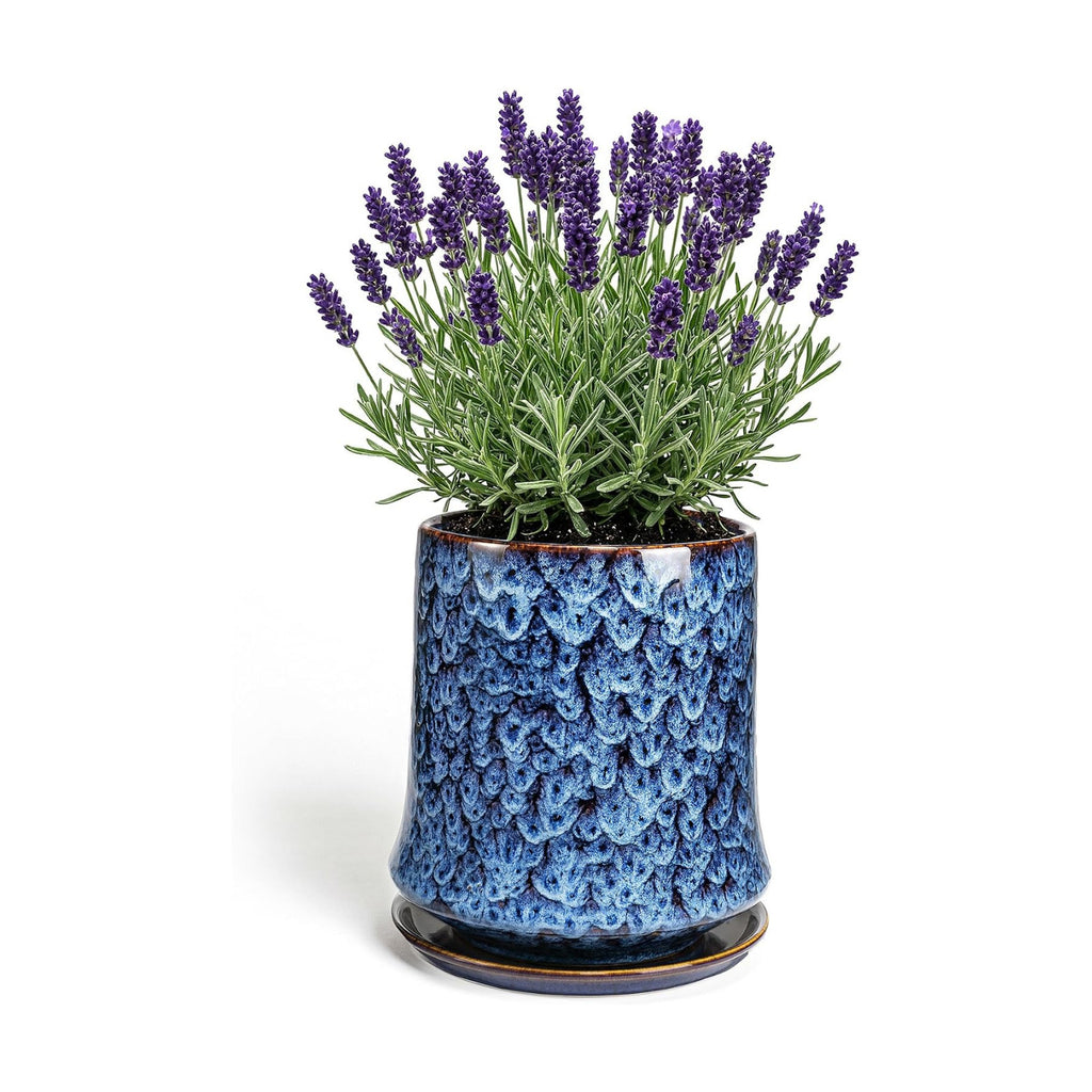 8 Inch Ceramic Planter Pot with Saucer Drainage Leak-Proof Mesh,Flower Pots for Lavender with Gardening Gloves,Ceramic