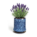 8 Inch Ceramic Planter Pot with Saucer Drainage Leak-Proof Mesh,Flower Pots for Lavender with Gardening Gloves,Ceramic