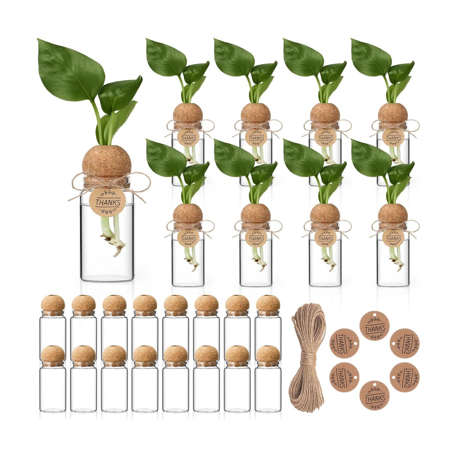 24 Pack 3.54'' Plant Propagation Stations 4 oz Glass Propagation Jars Planter Hydroponic Vase with Mushroom Hole Lid
