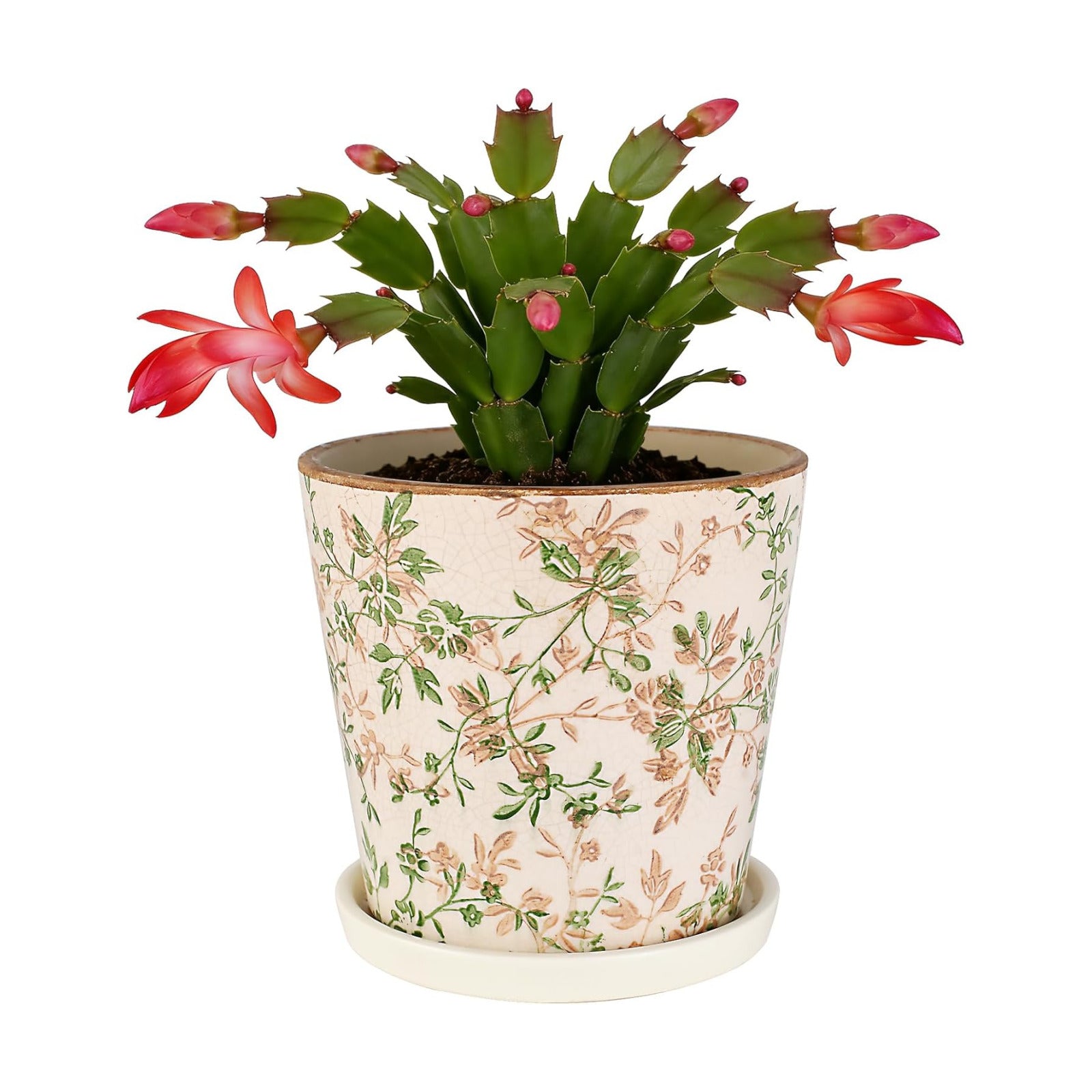 Ceramic Flower Pots for Indoor Plant with Drainage Hole & Saucer | 5.5 Inch Small Ice Crack Plant Pots, Decorative