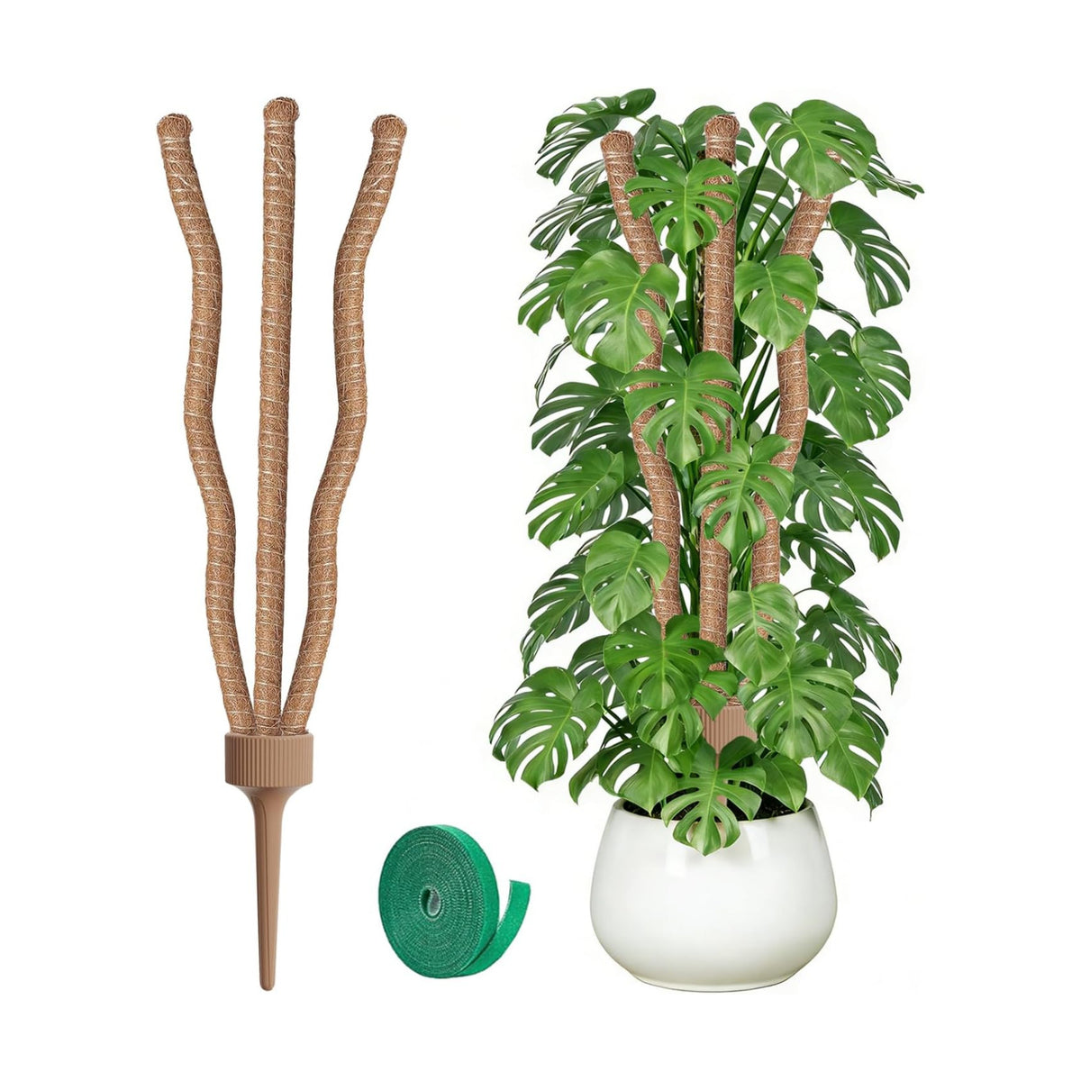 3 Moss Poles in 1, 30IN Tall Bendable Monstera Plant Support -1 Pack