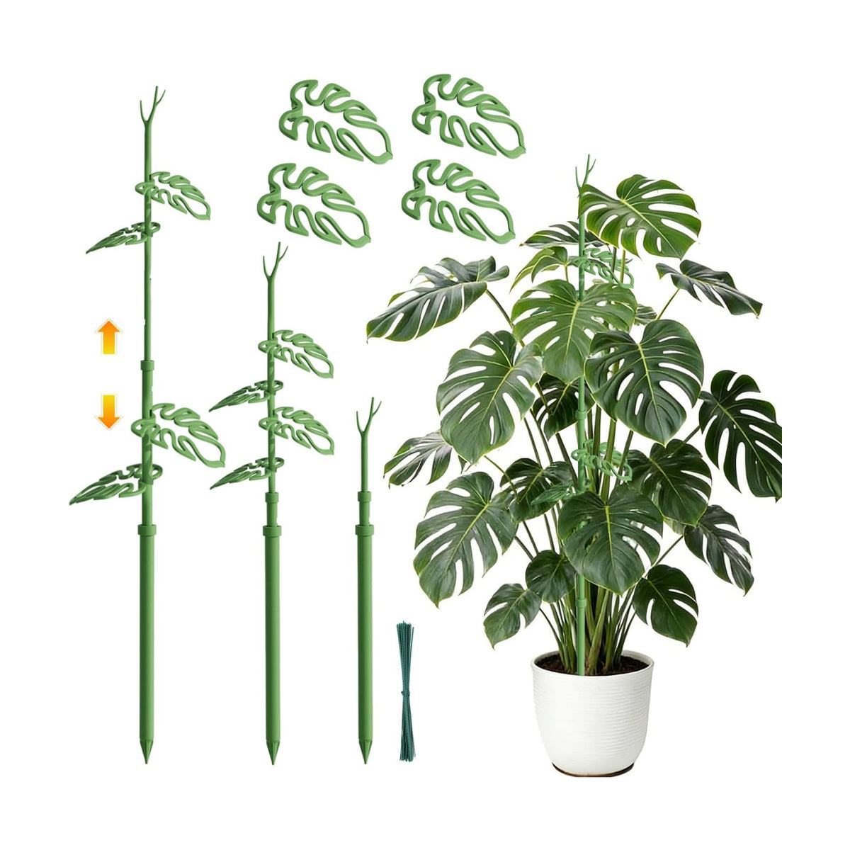Telescoping Monstera Plant Support Stakes, Adjustable Climbing Plant Stakes