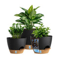 Self Watering Pots with Drainage Holes, 3 Pack 12/10/8 Inch Plant Pots with Water Level Indicator Deep Reservoir, Large