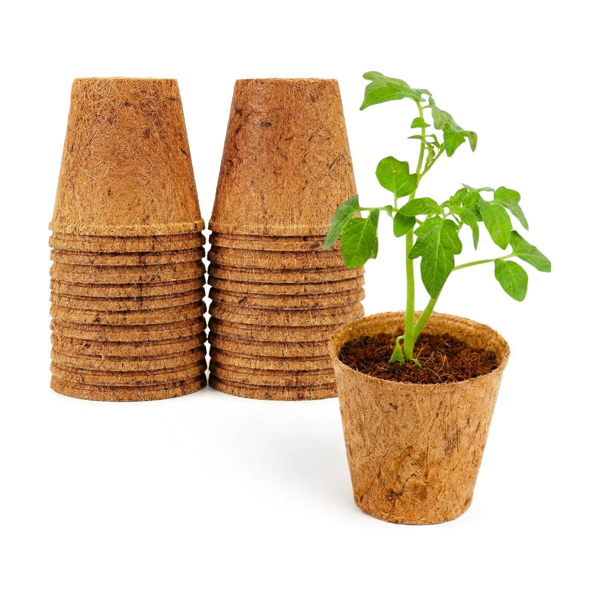 PlantBest 3 Inch Coconut Coir Biodegradable Pots - 22-Pack