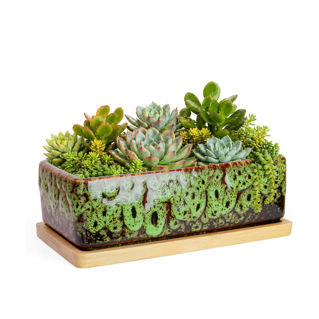 Succulent Pots, 7'' Large Long Rectangle Planters with Drainage Tray