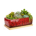 Succulent Pots, 7'' Large Long Rectangle Planters with Drainage Tray