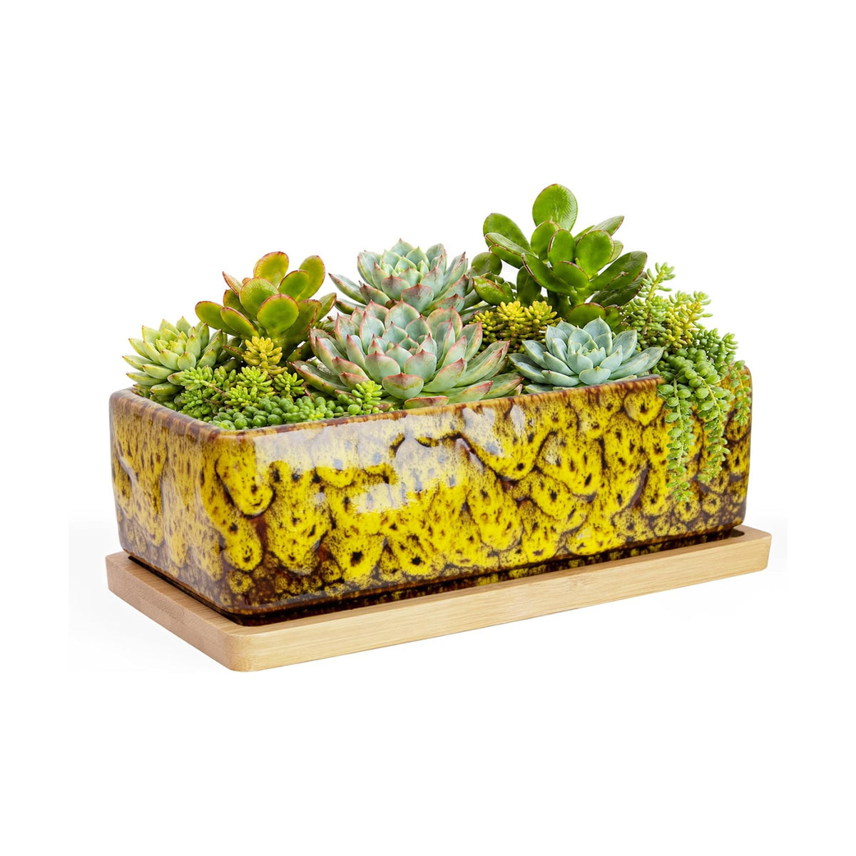 Succulent Pots, 7'' Large Long Rectangle Planters with Drainage Tray