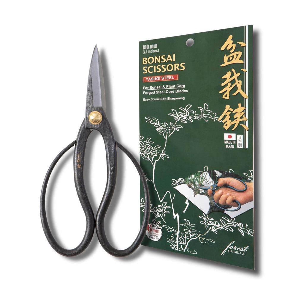 SenkichiKin Bonsai Scissors 7in (180mm) – Made in Japan Pruning Shears, Sharp Carbon Steel for Precision Trimming