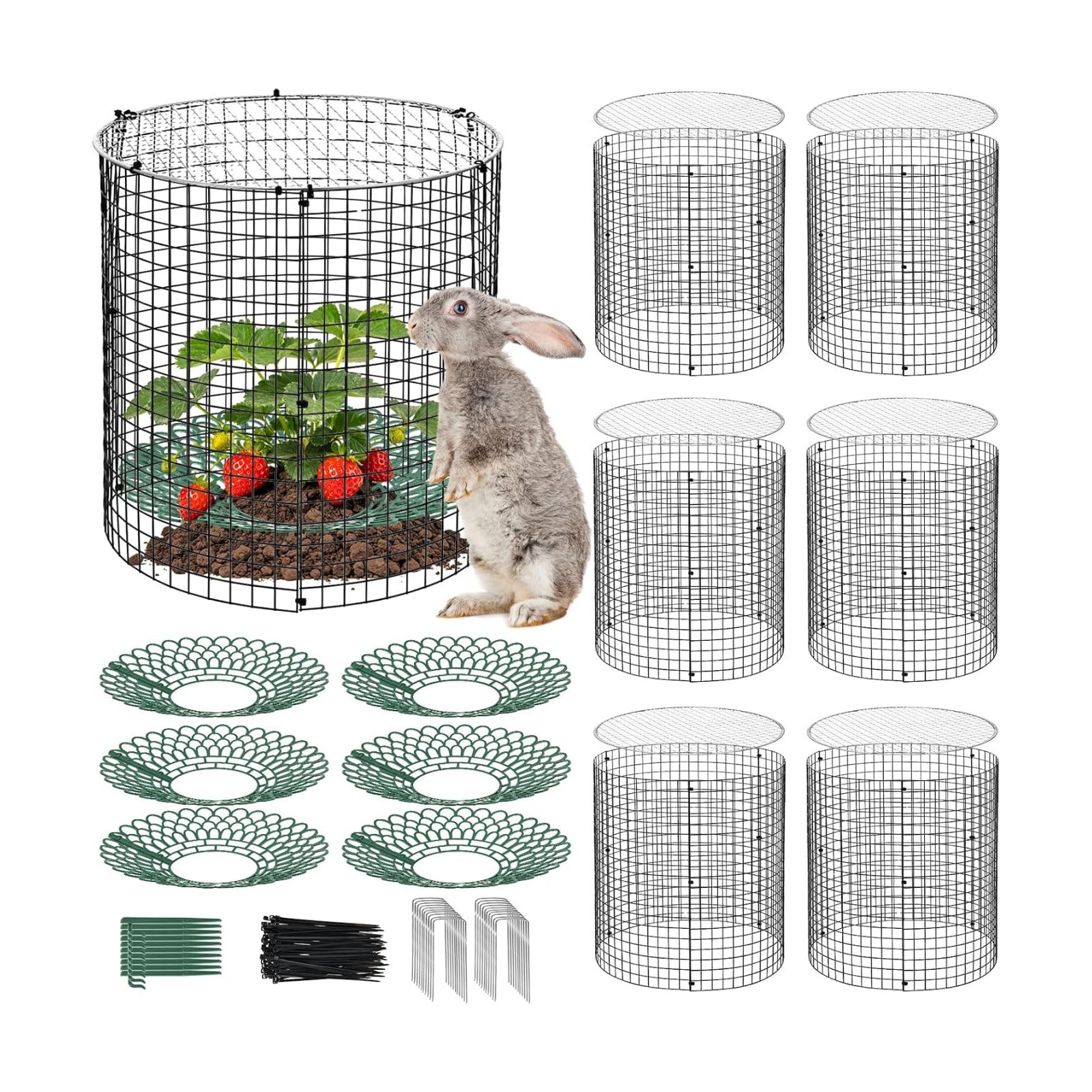 6 Pack Round Upgraded Strawberry Supports with Wire Covers Plant Protectors from Animal - All-in-One Garden Protection