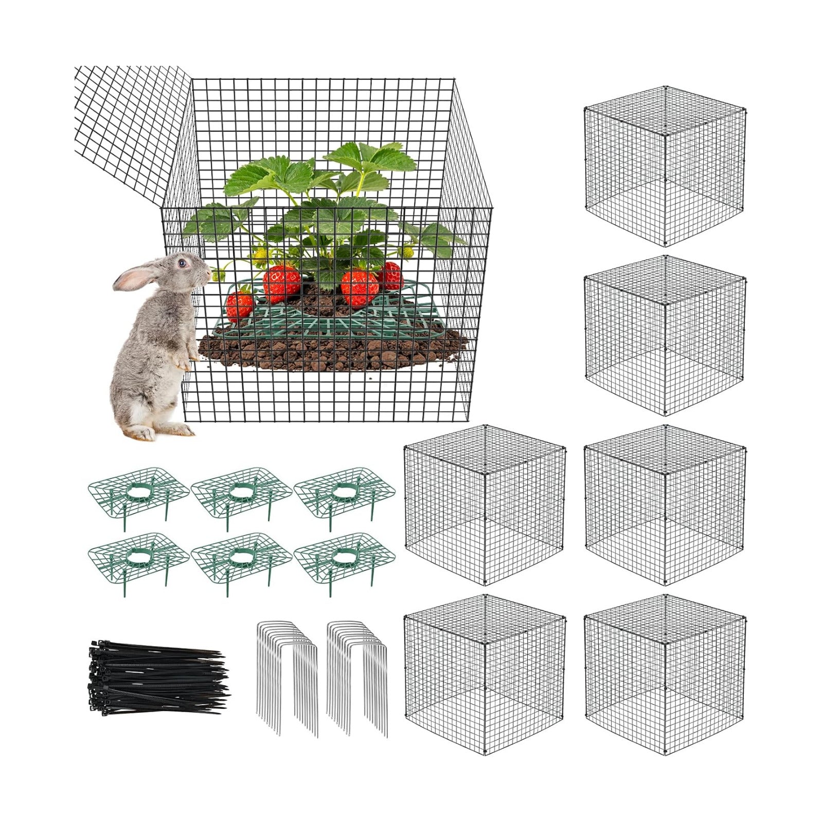 6 Set Upgraded Strawberry Protection Supports with Wire Plant Protectors from Animal Sturdy Metal Wire Plant Cages Mesh