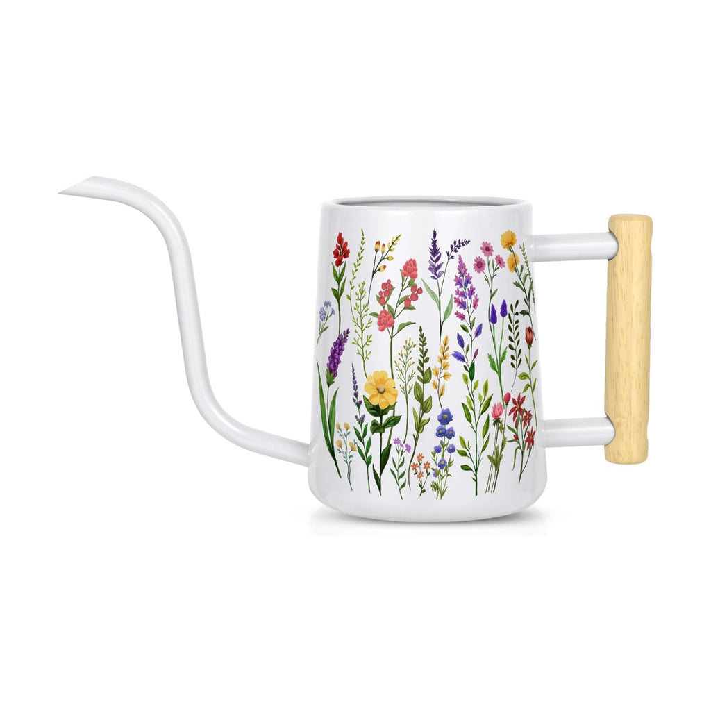 Watering Can Indoor Plants, 35 oz/1000 ml Metal Stainless Steel Watering Can Pot with Long Spout for Indoor House