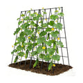 Cucumber Trellis 2 Pack,Foldable A-Frame Garden Trellis | for Raised Bed Garden Grow Support with Plant Support Clips