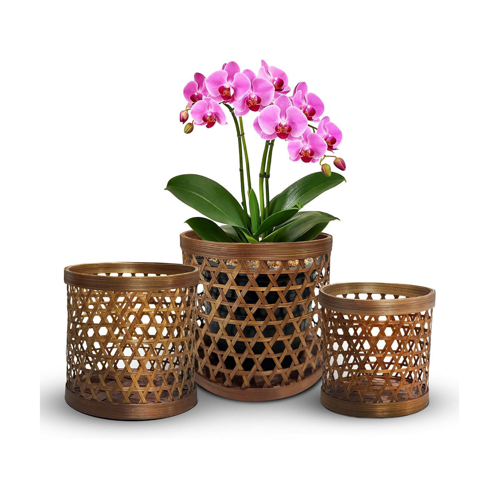Handcrafted Bamboo Tabletop Decorative Plant Pot Covers - Multi Set of 3 – for Indoor Plants, Orchids, Succulents –