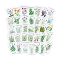 Sereniseed Certified Organic Herb Seeds 35-Pack | Non-GMO Heirloom Variety for Indoor Outdoor Culinary Gardening Gift