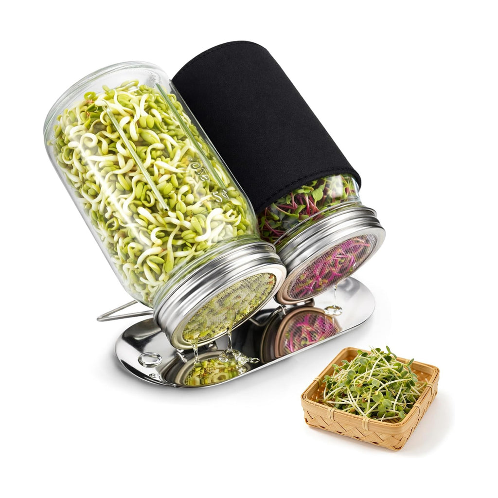 Sprouting Jar Kit, Stainless Steel Sprouting Lids with Stand, 2 Pcs | Sprouting Kit with Glass Mason Jars &