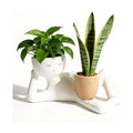Funny Planters Pots Head Funny Cute Succulent Plant Pots Face Head Planter Unique Bathroom Planters Lazy Guy Little
