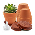 6 Pack 6 Inch Terracotta & Clay Pots with Saucer for Plants, Breathable Clay Planters Flowerpot Terra Cotta Flowerpot